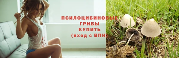 не бодяженный Богородицк